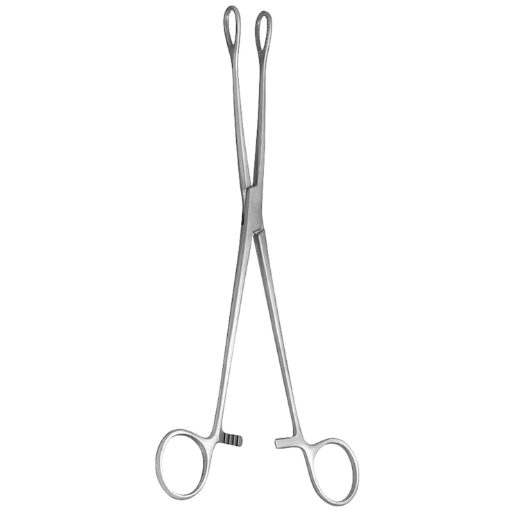 Foerster sponge forceps - GL651 | BD