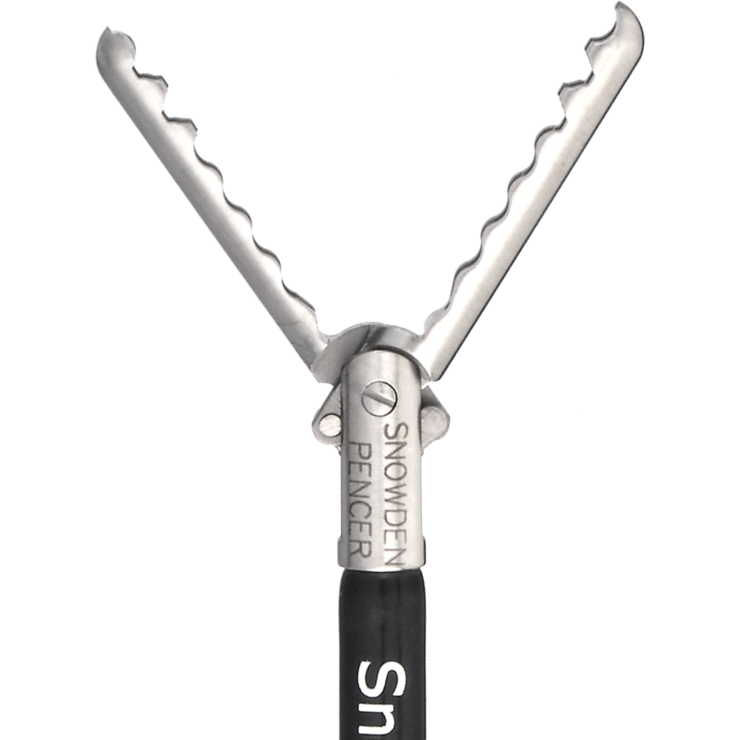 Wavy Grasper SP906284 BD