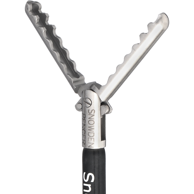 Wavy Grasper SP906284 BD