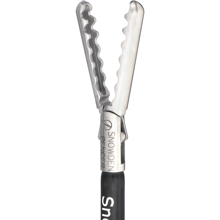 Wavy Grasper SP906285 BD