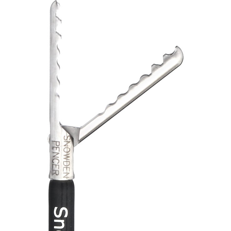 Wavy Grasper SP906385 BD