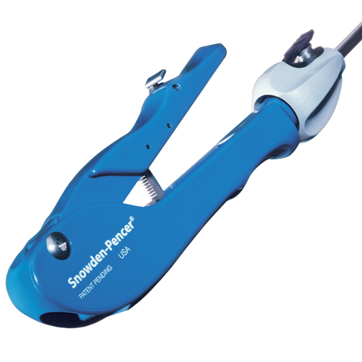 Wavy grasper SP907915 BD