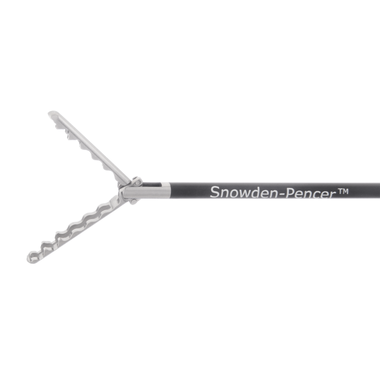 Wavy grasper SP0336WDA BD