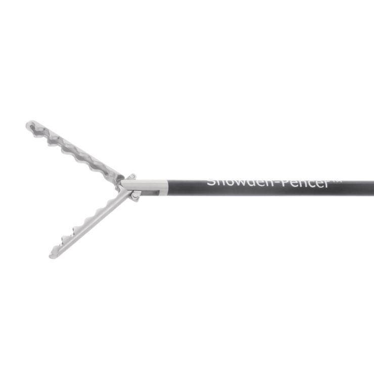 Wavy grasper SP0336WDA BD