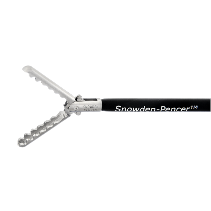 Wavy grasper SP8384 BD